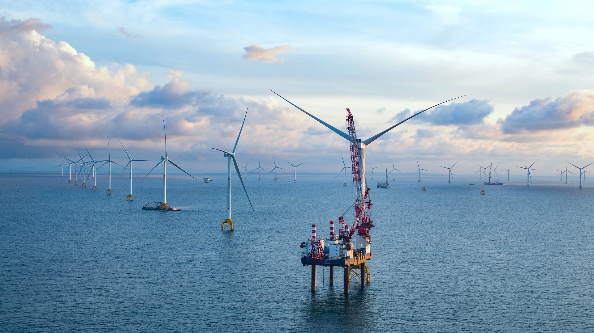 为客户创造价值<br>与合作方共同发展